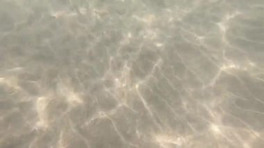 Güneş ışığı sualtında ve tropik balıklarda. Kanarya Adaları.