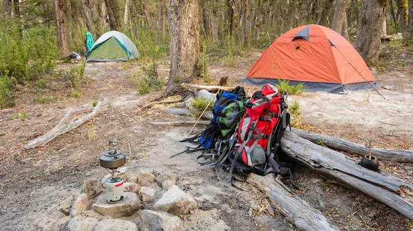 Two tents in a wild campsite in a forest / Camping gear