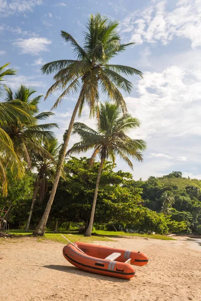 Red boat on a beach / With palm trees on the background