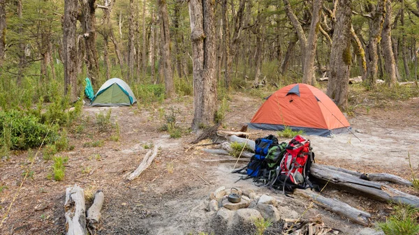 Two tents in a wild campsite in a forest / Camping gear and campfire