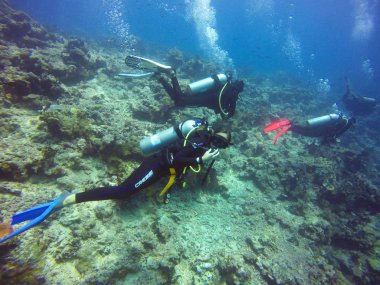 Kadın Scuba Diver seyir vasıl Camer sualtı Fiji'de üç diğer dalgıçlar ile.