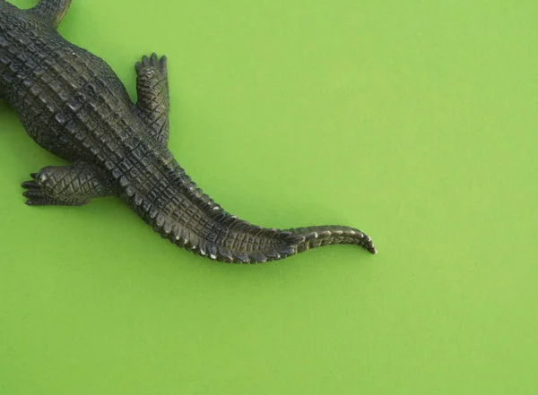 Крокодила Дитяча Іграшка Пластикові Статуетки Гри Зелений Фон Ферма Зоопарк — стокове фото