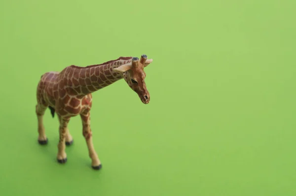 Animal Girafa Brinquedo Infantil Estatueta Plástico Para Jogo Fundo Verde — Fotografia de Stock