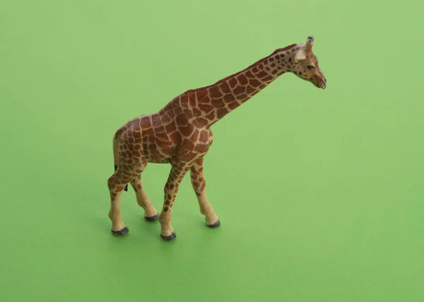 Animal Girafa Brinquedo Infantil Estatueta Plástico Para Jogo Fundo Verde — Fotografia de Stock