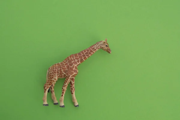 Animal Girafa Brinquedo Infantil Estatueta Plástico Para Jogo Fundo Verde — Fotografia de Stock