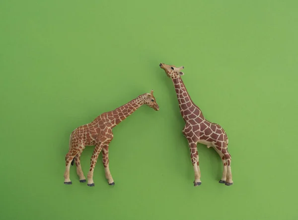 Жираф Детская Игрушка Пластиковая Фигурка Игры Зеленый Фон Ферма Зоопарк — стоковое фото