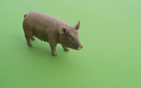 Zwierzę Świnia Zabawka Dla Dzieci Plastikowe Figurki Gry Zielone Tło — Zdjęcie stockowe