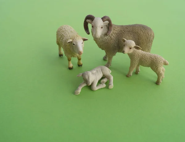 An sheep animal is a children\'s toy. Plastic figurine for the game. Green background. Farm and the zoo.