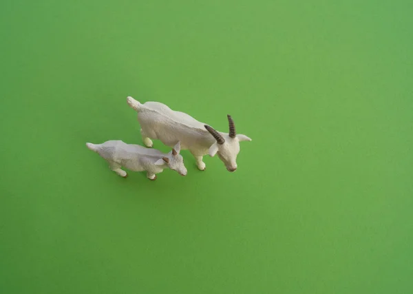 Animal Cabra Juguete Para Niños Figura Plástico Para Juego Fondo — Foto de Stock