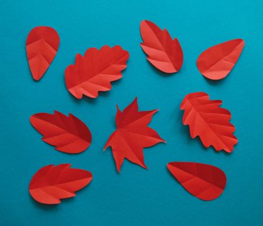Kağıt sonbahar kırmızı yaprak yaprakları düşer. Mavi arka plan. El yapımı origami.