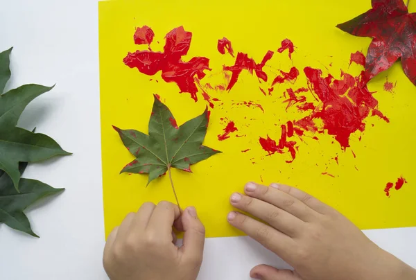 A child paints a picture of an autumn leaf with paints. Children\'s hands. Favorite hobby, materials for creativity.