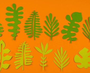 Yeşil kağıttan yapılmış turuncu zemin üzerine bırakır. Sonbahar yaprak düşer. En sevdiği hobi el sanatları.