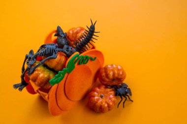 Bir plastik kabak ve siyah bir oyuncak bir torba portakal bir arka plan karşı yalan. Hasat Festivali. Sonbahar. Cadılar bayramı dekorasyonu bir sürü