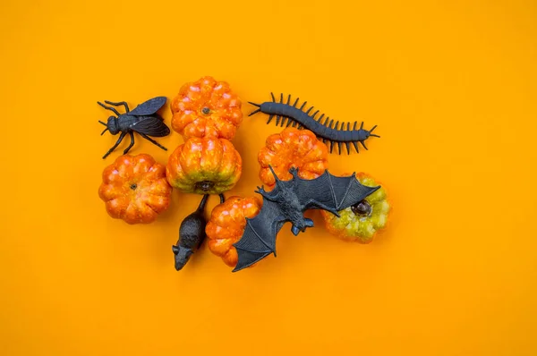 Черные Игрушки Пластиковой Тыкве Осень Много Декора Хэллоуин — стоковое фото