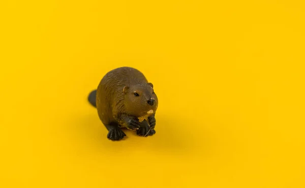 Brinquedo Castor Plástico Sobre Fundo Amarelo Animal Floresta Para Uma — Fotografia de Stock