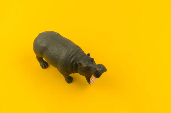 Hipopótamo Juguete Plástico Sobre Fondo Amarillo Animal Africano Para Niño — Foto de Stock