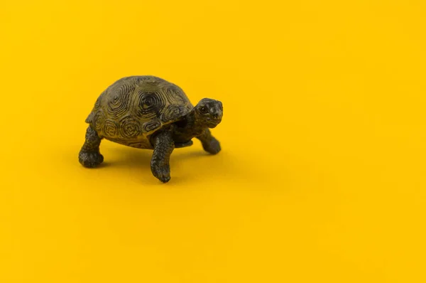 Toy turtle from plastic on a yellow background. African animal for a child. Place to write.