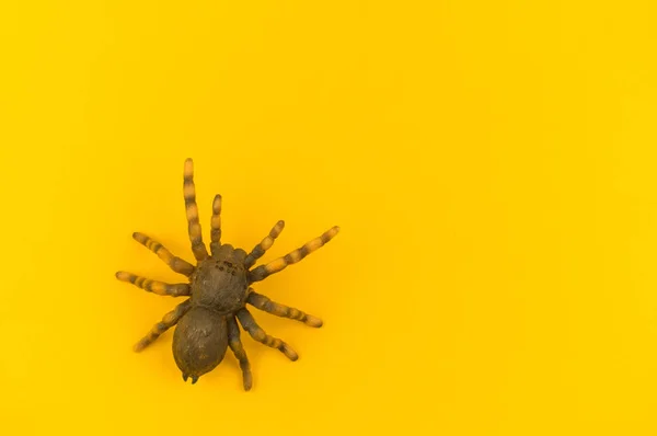 Leksak Spider Från Plast Gul Bakgrund Afrikanska Djur För Ett — Stockfoto
