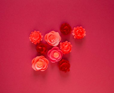 Çiçek kağıt pembe arka planyapılmış. Trend renk pastel mercan.