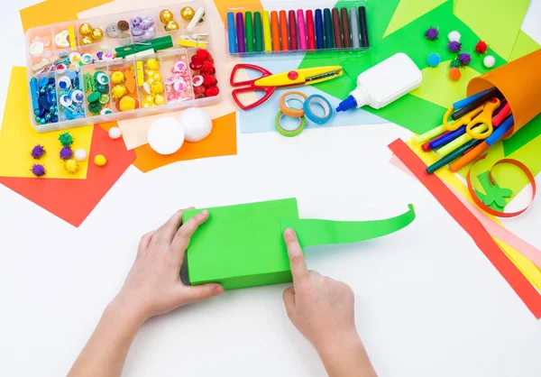 El niño hace un camaleón caja de hackeo. Material para la creatividad sobre un fondo blanco . — Foto de Stock