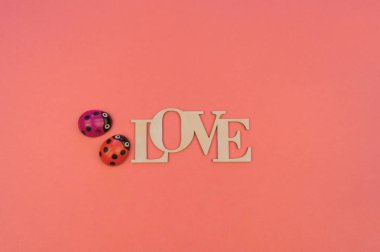 Aşk ve uğur böceği kelimesi. Yatay minimalizm. Mercan arka plan.