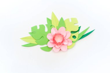 Çiçek kağıt beyaz arka planyapılmış. Trend renk pastel mercan.