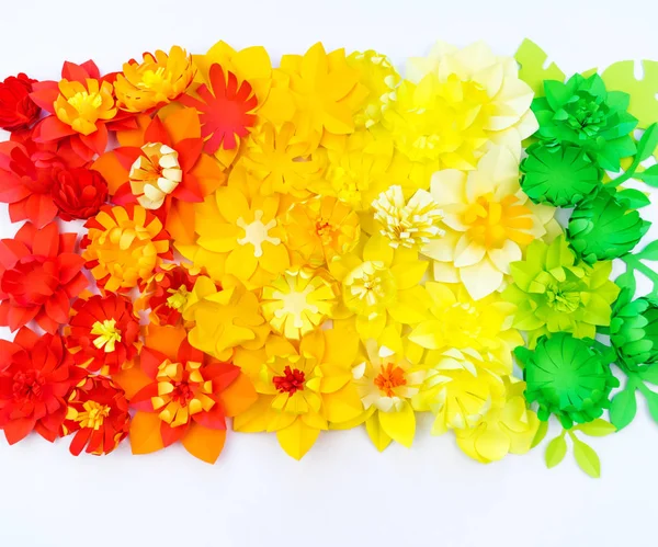 Paper craft flower rainbow color. Tolerance of people.