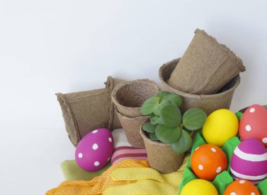 Dekoratif Paskalya kompozisyon. Kuş yuvası ve Paskalya yumurtası. Çiçeklik