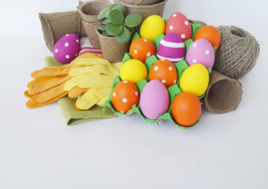 Dekoratif Paskalya kompozisyon. Kuş yuvası ve Paskalya yumurtası. Çiçeklik
