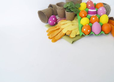 Dekoratif Paskalya kompozisyon. Kuş yuvası ve Paskalya yumurtası. Çiçeklik