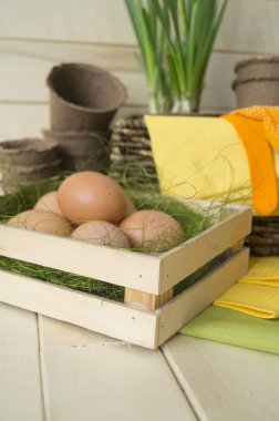 Paskalya yumurtası sepet çiçekler bahar nakli çiçekler yuva araçları. Nergis