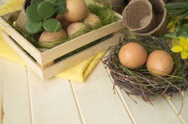 Paskalya yumurtası sepet çiçekler bahar nakli çiçekler yuva araçları. Nergis