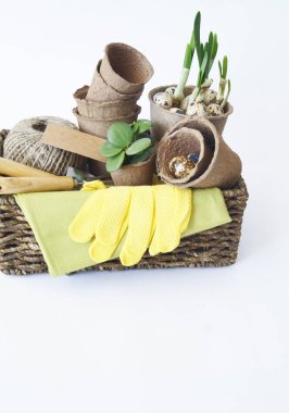 Paskalya. Bitkiler nakli için araçlar ile bir sepet. Bıldırcın yumurtası ile kuş yuvası.