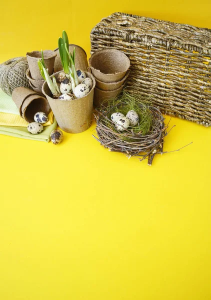 Easter decorative composition on a yellow background.Nest with perail eggs . — стоковое фото