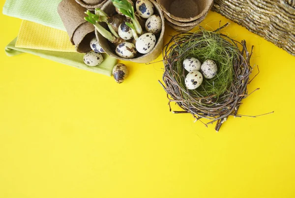 Velikonoční Dekorativní kompozice na žlutém podkladu. Hnízdo s křepelčími vejci. — Stock fotografie