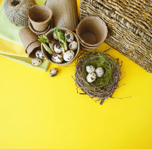 Composición decorativa de Pascua sobre un fondo amarillo.Nido con huevos de codorniz . — Foto de Stock