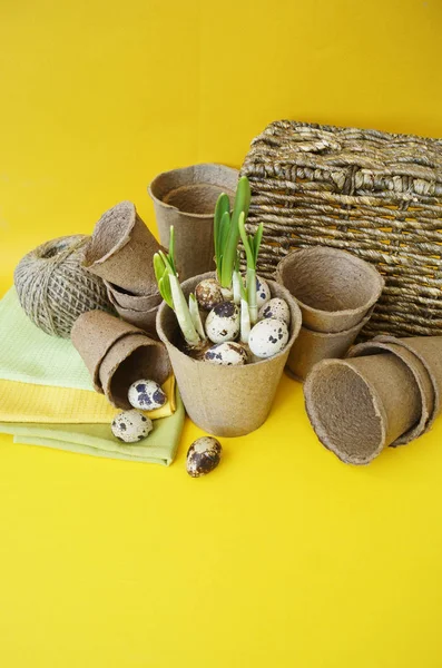 Easter decorative composition on a yellow background.Nest with perail eggs . — стоковое фото