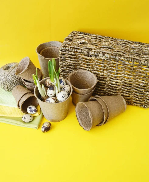 Easter decorative composition on a yellow background.Nest with perail eggs . — стоковое фото