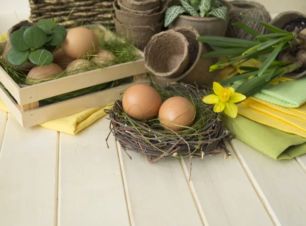 Påsk ägg korg blommor våren transplantation av blommor boet verktyg. Narcissus — Stockfoto