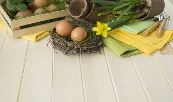 Påsk ägg korg blommor våren transplantation av blommor boet verktyg. Narcissus — Stockfoto