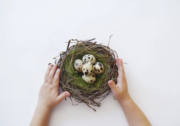 Children's hands hold an Easter nest with eggs. View from above. Child. Boy. — Stock Photo, Image