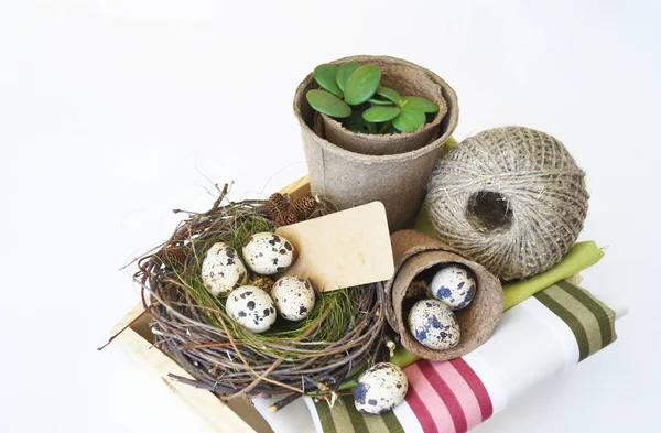 Velikonoční. Košík s nástroji pro transplantaci rostlin. Ptačí hnízdo s křepelky. — Stock fotografie