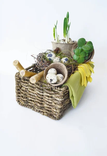 イースター。植物を移植するためのツールを備えたバスケット。ウズラの卵との鳥の巣. — ストック写真
