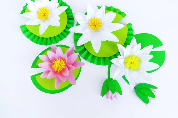 Waterlily flower made of paper. white background. Origami hobby. Gentle petal.