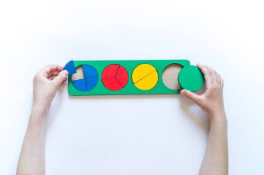 Montessori malzemesi. Çocukların elleri. Bütün ve bir parça. Kesir. Matematik çalışması