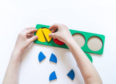 Montessori malzemesi. Çocukların elleri. Bütün ve bir parça. Kesir. Matematik çalışması