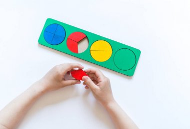 Montessori malzemesi. Çocukların elleri. Bütün ve bir parça. Kesir. Matematik çalışması