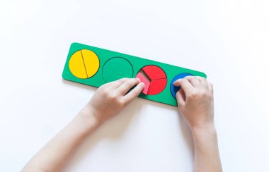 Montessori malzemesi. Çocukların elleri. Bütün ve bir parça. Kesir. Matematik çalışması