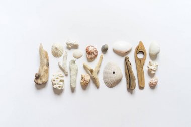 Deniz kabukları ve sopalar, yumru ve tüy mercan koleksiyonu düz yatıyordu natürmort doğal malzemedir. Kahverengi doğal renk.