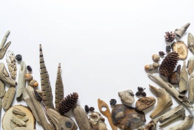 Deniz kabukları ve sopalar, yumru ve tüy mercan koleksiyonu düz yatıyordu natürmort doğal malzemedir. Kahverengi doğal renk.